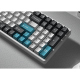 Keychron Cherry Profile Double - Shot PBT Full Set Keycaps - Grey, White, and Blue Grijs/wit, 218 stuks
