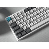 Keychron Cherry Profile Double - Shot PBT Full Set Keycaps - Grey, White, and Blue Grijs/wit, 218 stuks