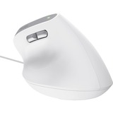Trust Bayo II Ergonomische muis Wit, 800 dpi - 2.400 dpi