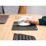 Trust Bayo II Ergonomische muis Wit, 800 dpi - 2.400 dpi