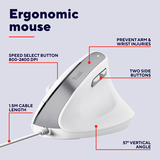 Trust Bayo II Ergonomische muis Wit, 800 dpi - 2.400 dpi