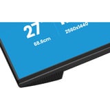 iiyama ProLite XB2796QSC-B1 27" monitor Zwart (mat), 75 Hz, HDMI, USB-C, Audio