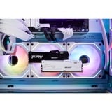 Kingston FURY 32 GB DDR5-5600 werkgeheugen Wit, KF556C36BWEA-32, Beast RGB, EXPO