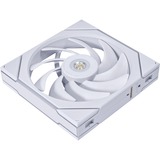 Lian Li UNI FAN TL 140 RGB case fan Wit, 140 x 144 x 28 mm, PWM