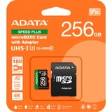 ADATA SPEED PLUS microSDXC 256 GB geheugenkaart UHS-I U3, Class 10, V30, A2