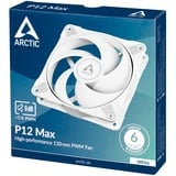 Arctic P12 Max case fan Wit