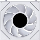 Lian Li Lian Li UNI FAN SL-INF LCD FLEX 120 WL w RGB case fan Wit, 120 x 124 x 28 mm, PWM