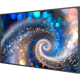 Philips Signage 2000 55BDL2050A 54.6" 4K Ultra HD Public Display Zwart