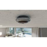 Reolink 6 MP 360° panoramische fisheye camera voor binnen Grijs, 4K, WiFi, PoE