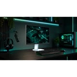 TCL 25P1AD 25" gaming monitor Wit, 1x DisplayPort, 1x HDMI, 300 Hz (OC)
