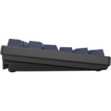 HelloGanss HS87T GC17 RGB mechanisch toetsenbord Zwart, US lay-out (QWERTY), Cherry MX Silent Red, 80% (TKL)	, RGB leds, PBT Doubleshot keycaps, hot swap, 2,4 GHz | Bluetooth | USB-C