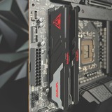 Patriot Viper Venom 16 GB DDR5-5600 (2x 8 GB) werkgeheugen Zwart, PVV516G560C40K, XMP 3.0