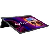 ASUS ZenScreen MB17AHG Portable Monitor 17.3" Zwart, 1x HDMI, 2x USB-C, 144 Hz