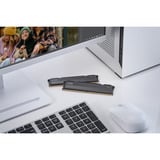 KLEVV FIT V 32 GB DDR5-6000 (2x 16 GB) werkgeheugen Zwart, KD5AGU880-60A300L, XMP 3.0, EXPO