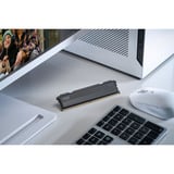 KLEVV FIT V 32 GB DDR5-6000 (2x 16 GB) werkgeheugen Zwart, KD5AGU880-60A300L, XMP 3.0, EXPO