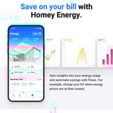 Athom Homey Pro (2026) + Energie Dongle basisstation Zwart