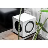 Audio Pro SW-10 luidspreker Wit