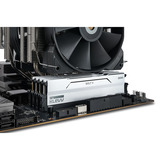 KLEVV BOLT V 32 GB DDR5-6000 (2x 16 GB) werkgeheugen Wit, KD5AGU880-60A300I, XMP 3.0, EXPO