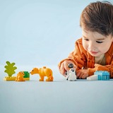 LEGO DUPLO Stad - Families van wilde dieren: pinguïns en leeuwen Constructiespeelgoed 10442 - Wildlife families
