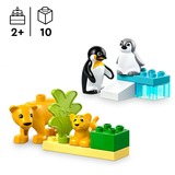 LEGO DUPLO Stad - Families van wilde dieren: pinguïns en leeuwen Constructiespeelgoed 10442 - Wildlife families