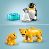LEGO DUPLO Stad - Families van wilde dieren: pinguïns en leeuwen Constructiespeelgoed 10442 - Wildlife families