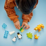 LEGO DUPLO Stad - Families van wilde dieren: pinguïns en leeuwen Constructiespeelgoed 10442 - Wildlife families
