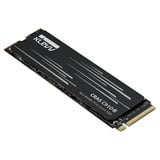 KLEVV CRAS C910G 1 TB SSD Zwart, K01TBM2SP0-10G, PCIe Gen 4.0 x4, NVMe 2.0
