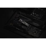 KLEVV CRAS C910G 1 TB SSD Zwart, K01TBM2SP0-10G, PCIe Gen 4.0 x4, NVMe 2.0