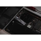 KLEVV CRAS C910G 1 TB SSD Zwart, K01TBM2SP0-10G, PCIe Gen 4.0 x4, NVMe 2.0