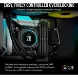 Corsair Vengeance 32 GB DDR5-6400 (2x 16 GB) werkgeheugen Zwart, CMK32GX5M2B6400C32, XMP