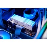 Kingston FURY 16 GB DDR5-6000 werkgeheugen Wit, KF560C36BWEA-16, Beast RGB, EXPO