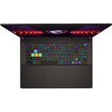 MSI Vector 17 HX A14VGG-216NL 17"  gaming laptop Grijs | i9-14900HX | RTX 4070 | 16 GB | 1 TB SSD