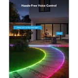 Govee RGBIC Outdoor Neon Rope Light (10 m) sfeerverlichting 2,4GHz wifi + Bluetooth