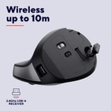 Trust Bayo II Ergonomische draadloze muis Zwart, 800 dpi - 2.400 dpi