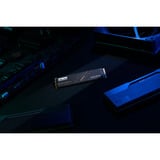 KLEVV CRAS C925G 1 TB SSD Zwart, MZ-V9P2T0BW, PCIe Gen 4.0 x4, NVMe 2.0