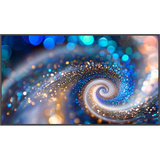 Philips Signage 2000 65BDL2050A 64.5" 4K Ultra HD Public Display Zwart