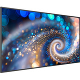 Philips Signage 2000 65BDL2050A 64.5" 4K Ultra HD Public Display Zwart