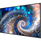 Philips Signage 2000 65BDL2050A 64.5" 4K Ultra HD Public Display Zwart