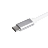 SilverStone USB-C 3.1 naar HDMI adapter Zilver/wit