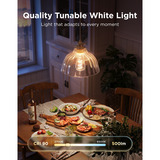 Govee Edison bulb E27 led-lamp 2.4GHz wifi, Bluetooth