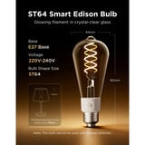 Govee Edison bulb E27 ledlamp 2.4GHz wifi, Bluetooth