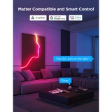 Govee Neon Rope Light 2 led strip Wit, 4 meter, 2,4GHz wifi, Bluetooth
