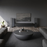 Audio Pro A48 W luidspreker Zwart, Bluetooth 4.2, WiFi