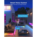 Govee H6172 RGBIC-Wi-Fi Stripverlichting voor buiten led strip 10 meter, RGBIC, Wifi, Bluetooth