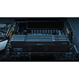 KLEVV 32 GB DDR5-6000 (2x 16 GB) Kit werkgeheugen Zwart, KD5AGUA80-60A300H, BOLT V, XMP 3.0, EXPO