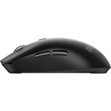 MSI FORGE K210 WIRELESS COMBO desktopset Zwart, US lay-out (QWERTY), Scissor switches, 100%, 1600 dpi