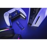 Crucial P510 met heatsink SSD Zwart, PCIe 5.0 x4, NVMe, M.2 2280