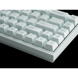 Keychron Q16 HE 8K Magnetic Switch Keyboard Lichtgroen, US lay-out (QWERTY), Keychron Ultra-Fast Lime, 65%, 65%, RGB, Hot swap, 8K