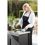 Barbecook Premium buddy voor gasbarbecue met werkblad kast Zwart/roestvrij staal