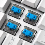 Sharkoon PureWriter TKL RGB mechanisch gaming toetsenbord Wit, US lay-out (QWERTY), Kailh Blue, 80% (TKL)	, RGB leds